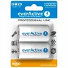 Įkraunama baterija everActive EVHRL20-10000 D NiMH 1,2 V 2 vnt.