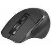 pelė Tracer Cozy Right-hand RF Wireless Optical 1600 DPI