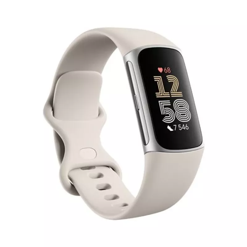 Fitbit GA05185-EU gaminys sidabrinis