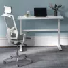 Rankinio aukščio reguliavimo stalas Ergo Office, maks. 40 kg, maks. aukštis 117 cm, su stalviršiu darbui stovint ir sėdint, ER-401 W