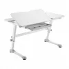 Ergo Office vaikiškas ergonominis reguliuojamo aukščio stalas, pilkas, maks. 100 kg, ER-417 2cz