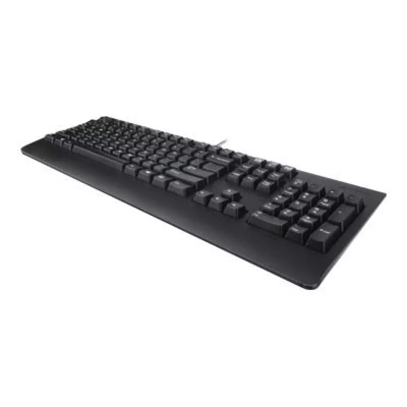Lenovo 4X30M86918 klaviatūra Office USB QWERTY US English Juoda