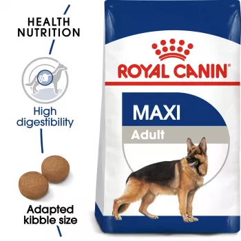 Royal Canin SHN Maxi Adult sausas šunų ėdalas, 4 kg