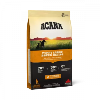 ACANA Dog Puppy Large Breed - sausas šunų maistas - 17kg