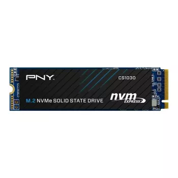 PNY CS1030 256GB M.2 2280 PCIe NVMe Gen3 x4 vidinis kietojo kūno diskas (Bulk)