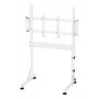 Oplite Nitrokart Monitor Stovas V2 Baltas - Plieninis pakėlimas su integruotu kabelių valdymu, 15kg talpa