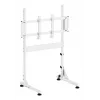 Oplite Nitrokart Monitor Stovas V2 Baltas - Plieninis pakėlimas su integruotu kabelių valdymu, 15kg talpa