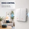 QOLTEC išmanusis šviesos jungiklis WiFi 2-jų grupių laikmatis Tuya baltas