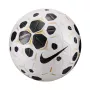 Nike Control 25 5 dydžio futbolo kamuolys baltas/juodas HV4395 100