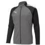 Puma teamLIGA Training vyriški treniruočių marškinėliai su ketvirčio užtrauktuku Puma Black-Asphalt dydis L