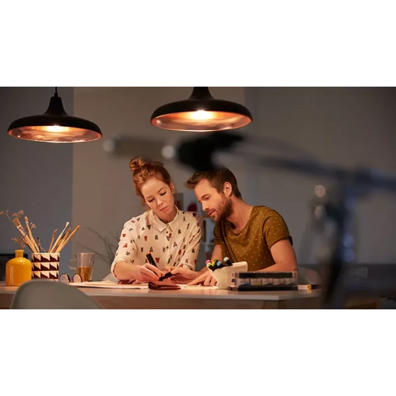 Philips Smart Smart Plug Type-F 3 vnt. Matter