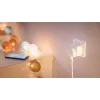 Philips Smart Smart Plug su energijos matuokliu, F tipo 2 vnt.