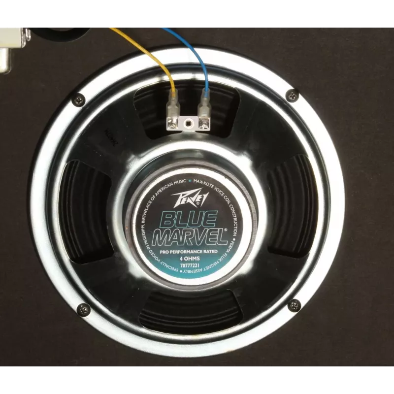 Peavey Electronics Rage 158 - 15W gitaros stiprintuvas