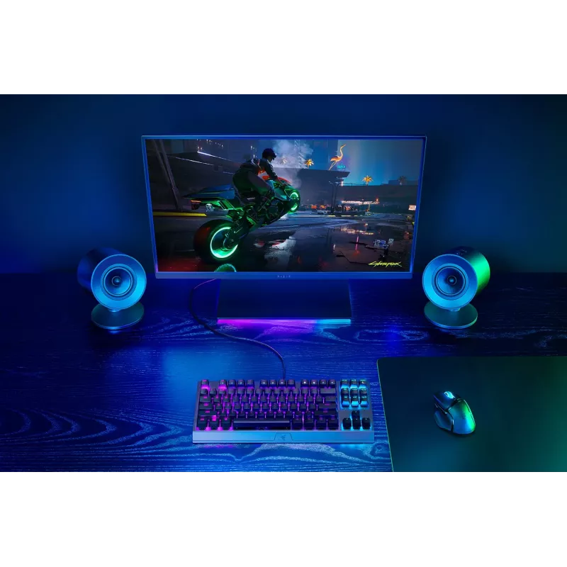 Razer garsiakalbiai RZ05-04760100-R3G1 / Nommo V2 X juodi