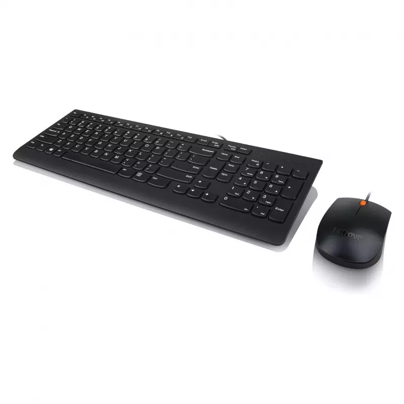 Lenovo 300 USB klaviatūra - JAV anglų QWERTY - juoda