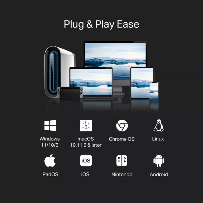 TP-LINK USB Type-C į 2.5 Gigabit Ethernet tinklo adapteris UE310C