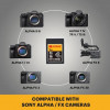 Kodak CFexpress Type A 1 TB atminties kortelė EKMCFXA1TK