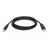 Tripp Lite U022-015 USB 2.0 Hi-Speed A/B įrenginių kabelis, ekranuotas, kištukas/kištukas, 15 ft (4,57 m), juodas