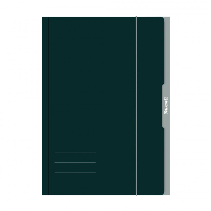 Pelikan 276856 Aplankalas cirkuliacinis A3 kartoninis žalias