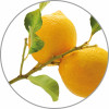 Medisana Aroma Essence Lemon 10 ml