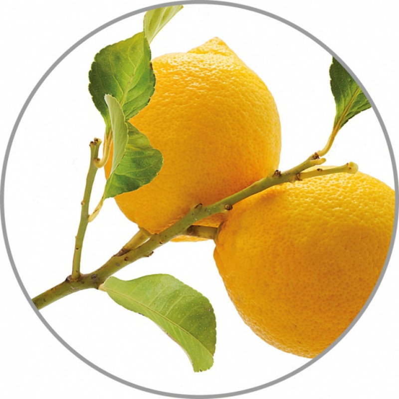 Medisana Aroma Essence Lemon 10 ml