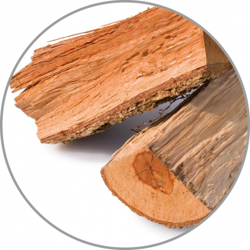 Medisana Aroma Essence Pinewood 10 ml