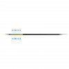 EFB Trunk Cable U-DQ(ZN)BH OS2 12E (1x12) SC-SC 40m Dca LSZH G657A1