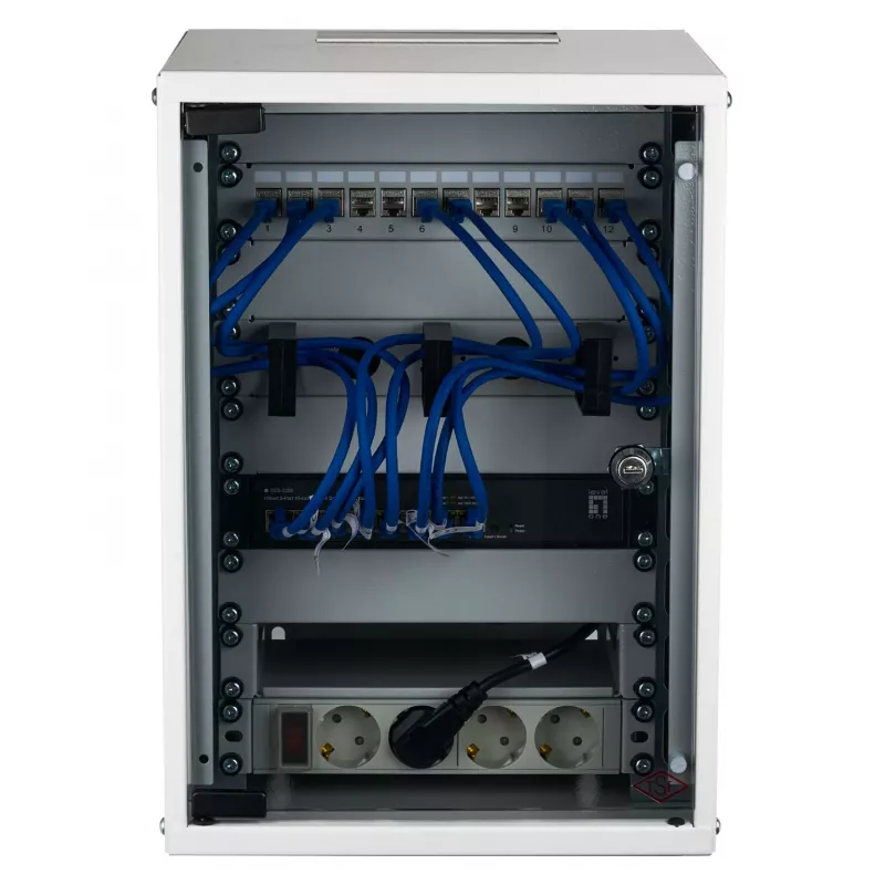 EFB 10-Inch Wall Mount Cabinet 9U 300mm Depth Light Grey (RAL 7035) with Safety Glass Door