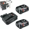 Bosch 18V pradinis rinkinys 2 x 2,5 Ah akumuliatoriai + AL 18V-44 įkroviklis (1600A031T5)