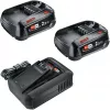 Bosch 18V pradinis rinkinys 2 x 2,5 Ah akumuliatoriai + AL 18V-44 įkroviklis (1600A031T5)