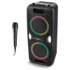 MEDION PE-1 Pure Party Speaker juoda - Bluetooth 5.0, 40W RMS, 2x 6,5 inch garsiakalbiai, karaokė, TWS, LED apšvietimas, Power Bank