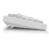 Sharkoon SGK55W SKILLER Wireless Gaming Keyboard, 75% Layout, PBT Keycaps, White