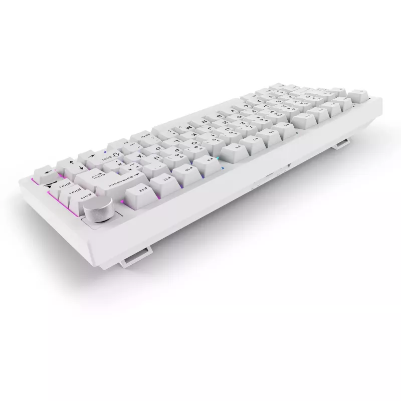 Sharkoon SGK55W SKILLER Wireless Gaming Keyboard, 75% Layout, PBT Keycaps, White