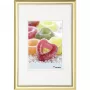 Walther Design Trendstyle 18x24 Gold Plastic Photo Frame KP824G