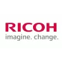 Ricoh D6063112 Friction Pad (100 vnt.)