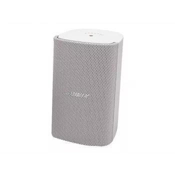 Bose Professional FreeSpace FS2SE paviršinio montavimo garsiakalbis (juodas)