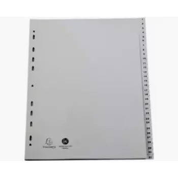 Exacompta 2931E A4 Maxi registrai 1–31, pilki