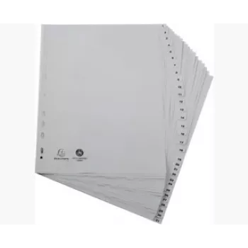 Exacompta 2931E A4 Maxi registrai 1–31, pilki