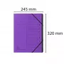 Exacompta Besiplečiantis Dokumentų Segtuvas 12 Skyrių Violetinė Colorspan