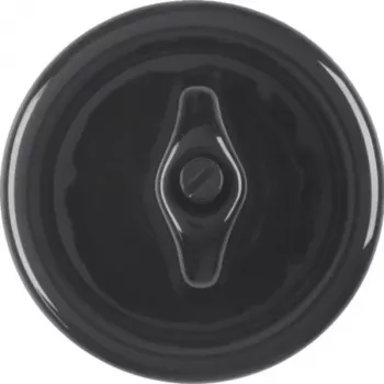 HAGER WTW1000PBG Centrinė detalė su perjungimo jungikliu, serija 1930, porcelianas, pagaminta Rosenthal