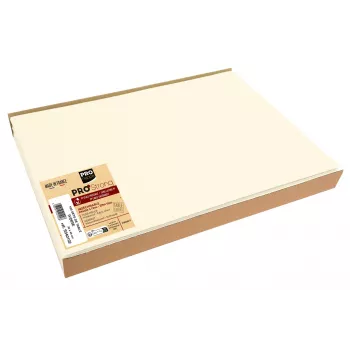 PROnappe vienkartinė staltiesė Spunbond 400 x 300 mm, dramblio kaulo spalvos, PP