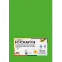 Folia 614/50 55 - Žalia - Vientisa - A4 (210 x 297 mm) - 300 g/m² - 50 lapų - Vokietija