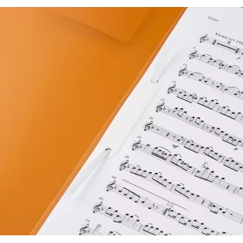 BRUNNEN FACT! Aplankas ataskaitoms A4 PP Oranžinis 150 lapų Metalinis segtuvas