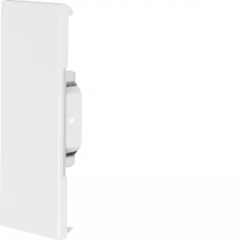 HAGER Uždengiamasis galinis elementas BRS6517069016, lakštinis plienas, 68x170 mm, gylis 80 mm