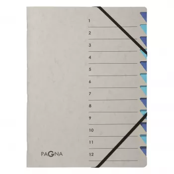 Pagna 44312-02 segtuvas, 12 skyrių, A4, pilkas