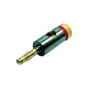 DIVERSE Speaker Connection Banana Plug to Screw Terminal Block - Red
