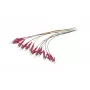 Synergy 21 Šviesolaidinis pigtail LC 50/125 µm OM4 2 m 12 vnt. spalvotas