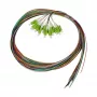 SYNERGY21 LC Pigtail 50/125µm OM5 2m 12 rinkinys, spalvomis koduotas vidaus kabelis