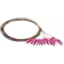 Synergy 21 S215524 Šviesolaidinis pigtail SC OM4 2m 12 vnt. rinkinys spalvotas