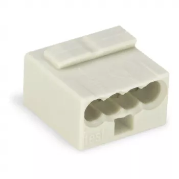 WAGO 243-304 PUSH WIRE® Jungtis 2 laidai 100V 24A Skaidri